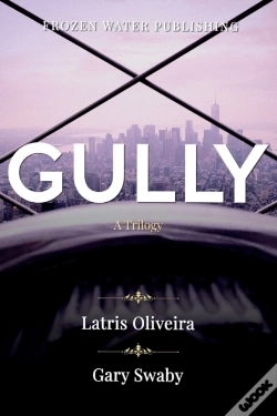 Capa do artigo Gully