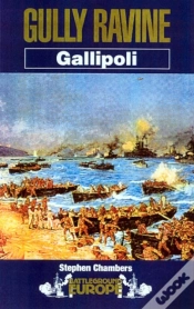 Capa do artigo Gully Ravine
