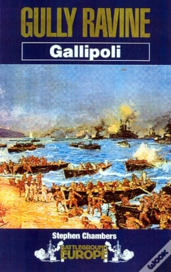 Capa do artigo Gully Ravine