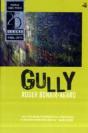 Gully - Preview