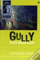 Gully