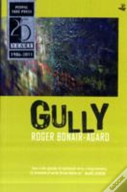 Capa do artigo Gully
