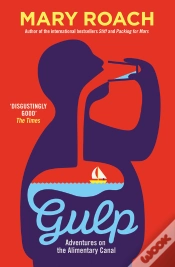 Capa do artigo Gulp
