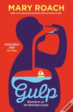 Capa do artigo Gulp