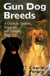 Capa do artigo Gun Dog Breeds
