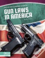 Gun Laws In America