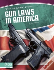 Capa do artigo Gun Laws In America