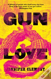Capa do artigo Gun Love