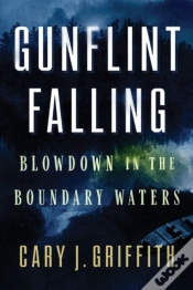 Capa do artigo Gunflint Falling