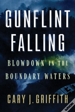 Capa do artigo Gunflint Falling