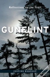 Capa do artigo Gunflint