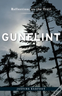 Capa do artigo Gunflint