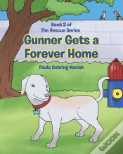 Capa do artigo Gunner Gets A Forever Home