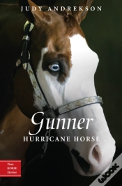 Capa do artigo Gunner