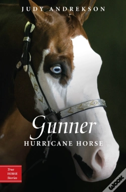 Capa do artigo Gunner