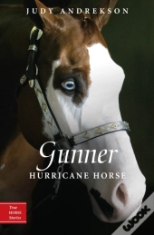 Gunner