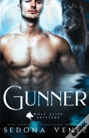 Capa do artigo Gunner