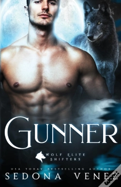 Capa do artigo Gunner