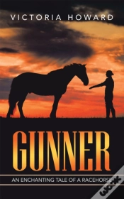 Capa do artigo Gunner