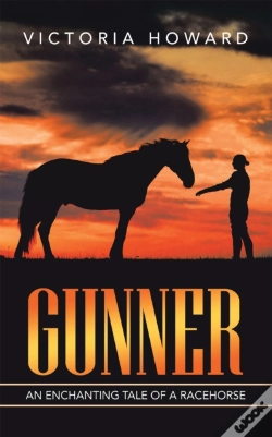 Capa do artigo Gunner
