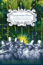 Gunpowder Plots - Preview