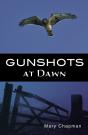 Gunshots At Dawn - Preview