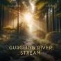 Gurgling River Stream - Preview