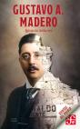 Gustavo A. Madero - Preview