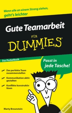 Capa do artigo Gute Teamarbeit Fur Dummies Das Pocketbuch