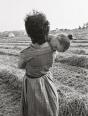 Guy Hersant, Un Photographe En Campagne - Preview