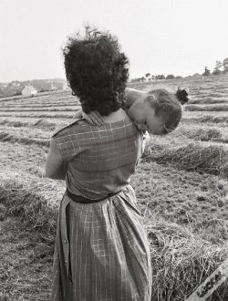 Capa do artigo Guy Hersant, Un Photographe En Campagne
