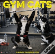 Capa do artigo Gym Cats 2027 Wall