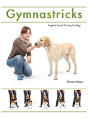 Gymnastricks - Preview