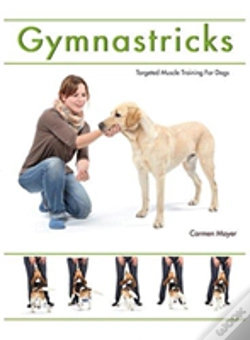 Capa do artigo Gymnastricks