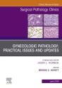 Gynecologic Pathology: Practical Issues And Updates, An Issue Of Surgical Pathology Clinics - Preview