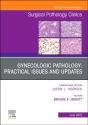 Gynecologic Pathology:  Practical Issues And Updates, An Issue Of Surgical Pathology Clinics - Preview