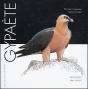 Gypaete - Preview