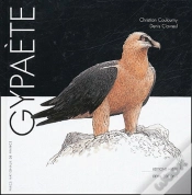 Capa do artigo Gypaete