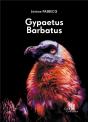 Gypaetus Barbatus - Preview