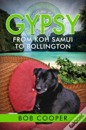Capa do artigo Gypsy