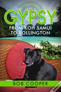 Capa do artigo Gypsy