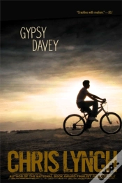 Capa do artigo Gypsy Davey