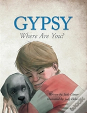 Capa do artigo Gypsy