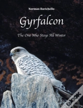 Gyrfalcon