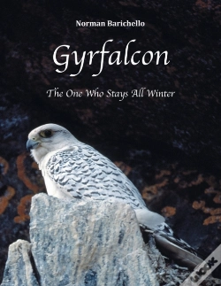 Capa do artigo Gyrfalcon