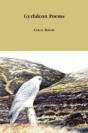 Gyrfalcon Poems - Preview