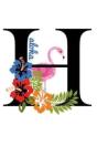 H Aloha - Preview