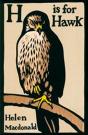 H Is For Hawk - Preview