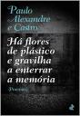 Há flores de plástico e gravilha a enterrar a memória - Preview