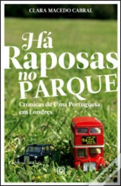 Capa do artigo Há Raposas no Parque